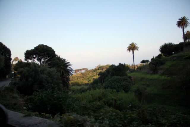 2010 07 06 jeanmarcperfetti.com 033.JPG